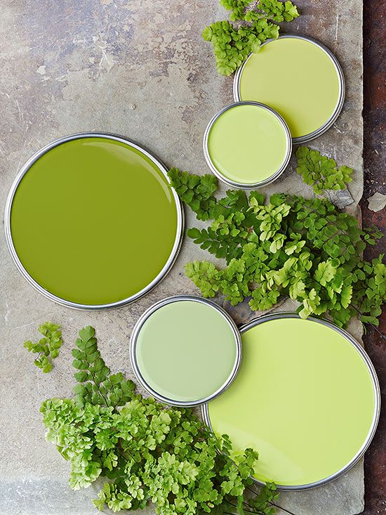 green lime paint