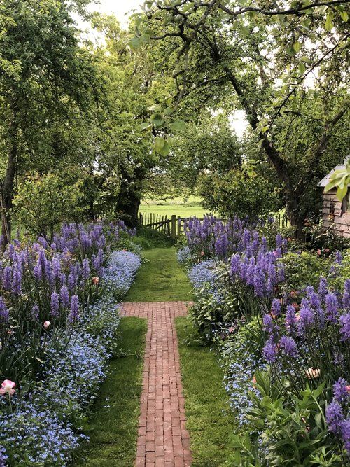 plants and flowers in English garden