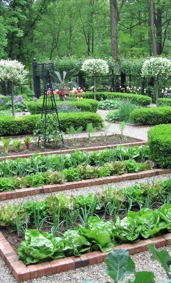 vegetable Dutch garden landscaping