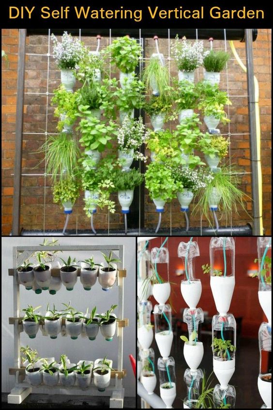 inexpensive bottle planter