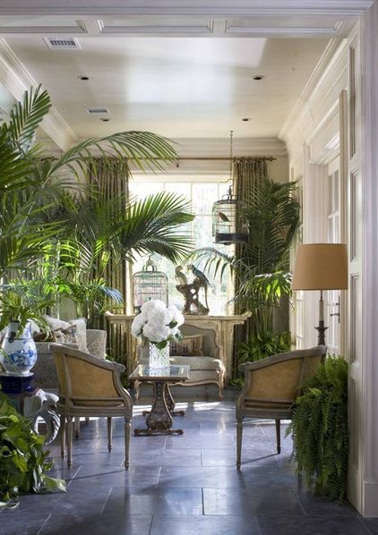 when the greeneries take the all attention in this tropical living room ideas