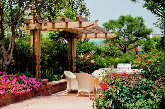 patio and pergola in the garden 