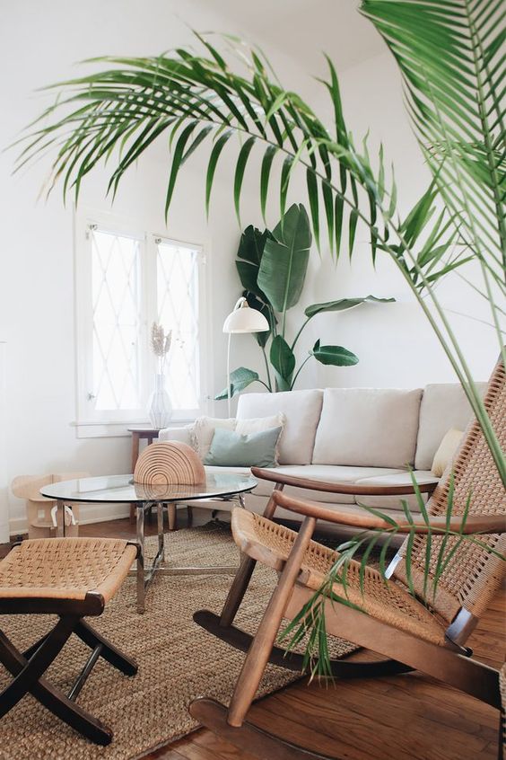 Minimalist tropical living room decor