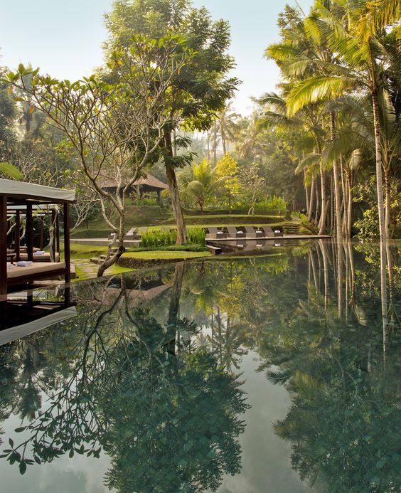 Balinese lush garden