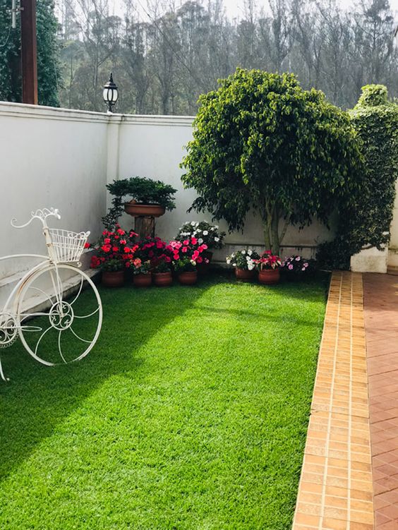 beautiful small lawn