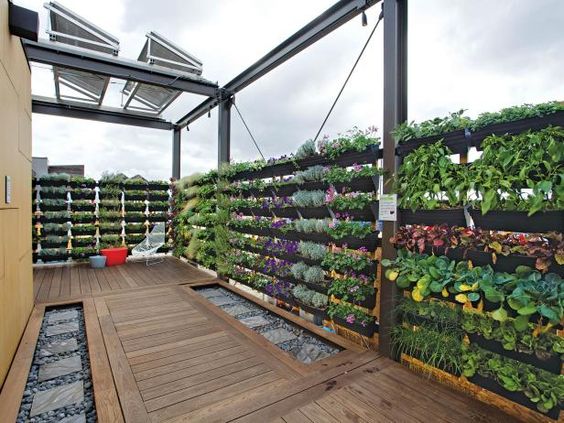 vertical garden ideas on rooftop