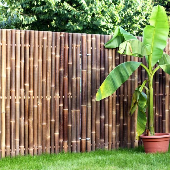 bamboo fencing idea