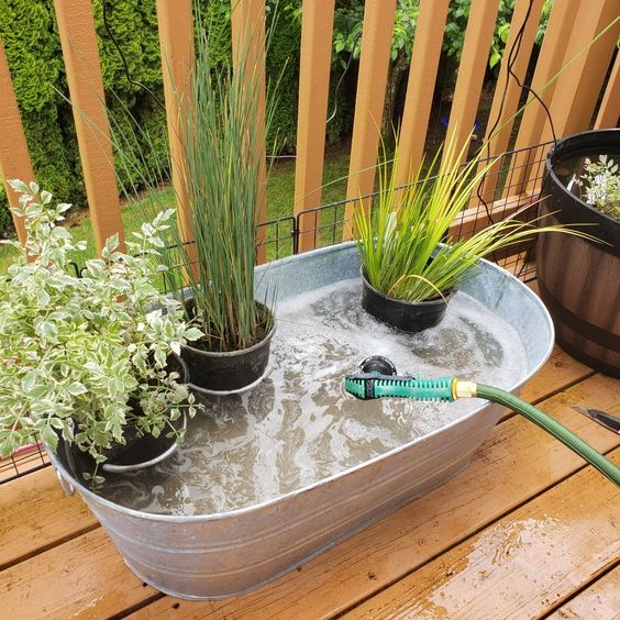 container pond ideas