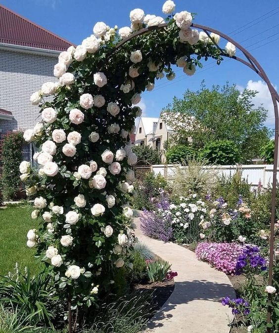 garden arch to improve the curb appeal