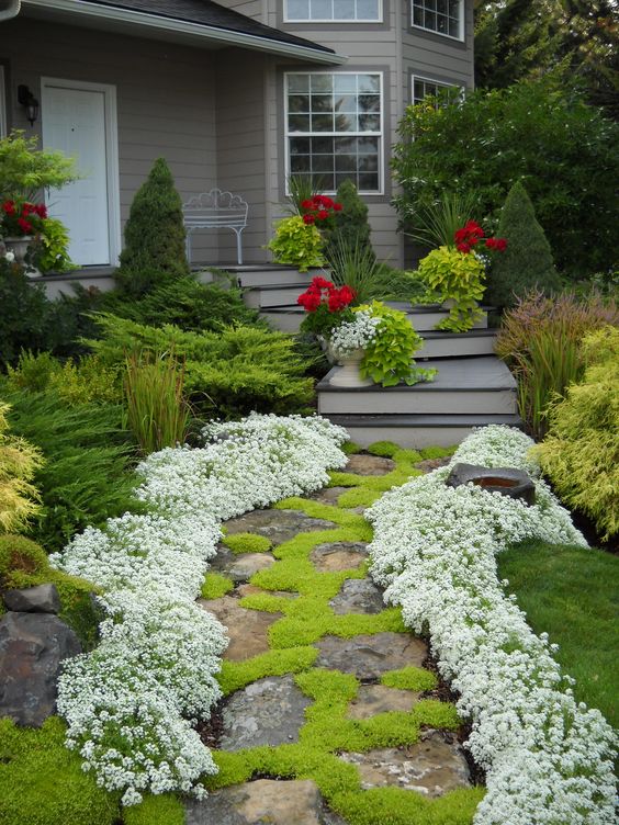 garden path with flowers