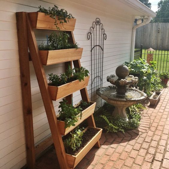 growing parsley in vertical cedar planter