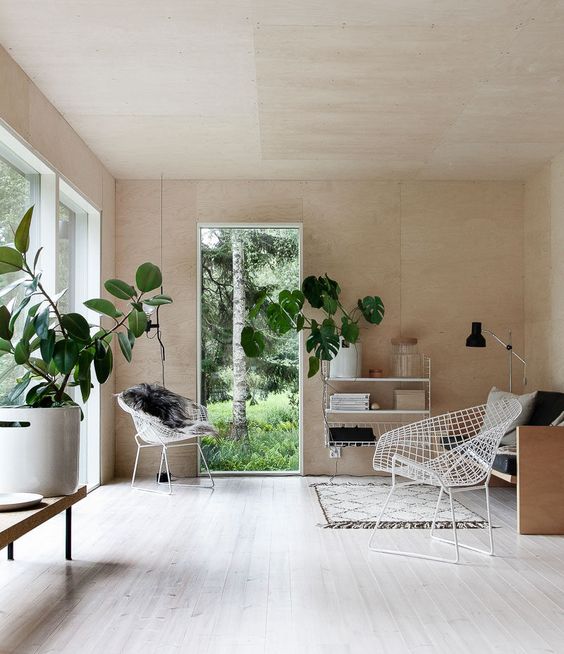 plants in Scandinavian home interior