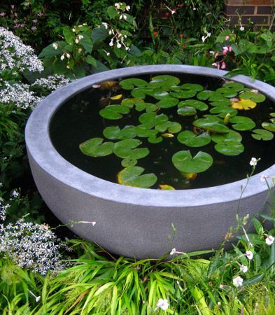 concrete bowl pond idea