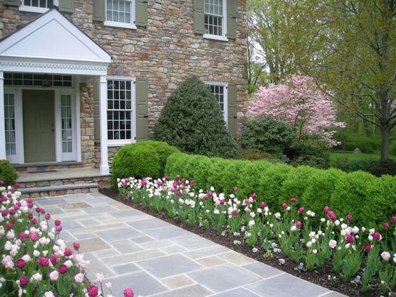 front yard decoration with tulips