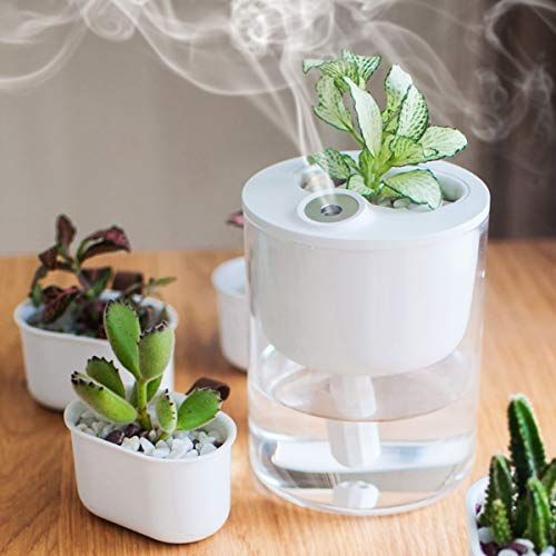 air humidity control for indoor houseplants