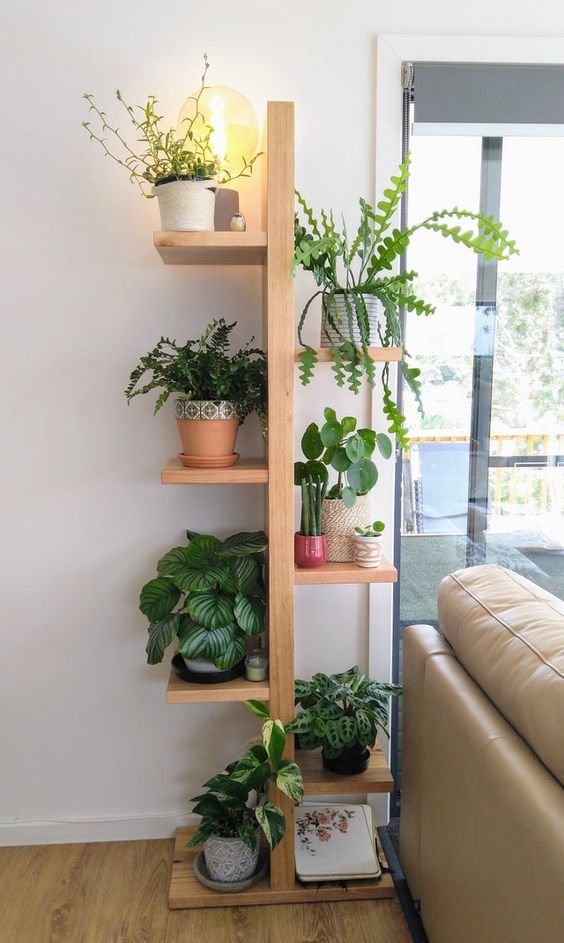 light requirements for indoor houseplants