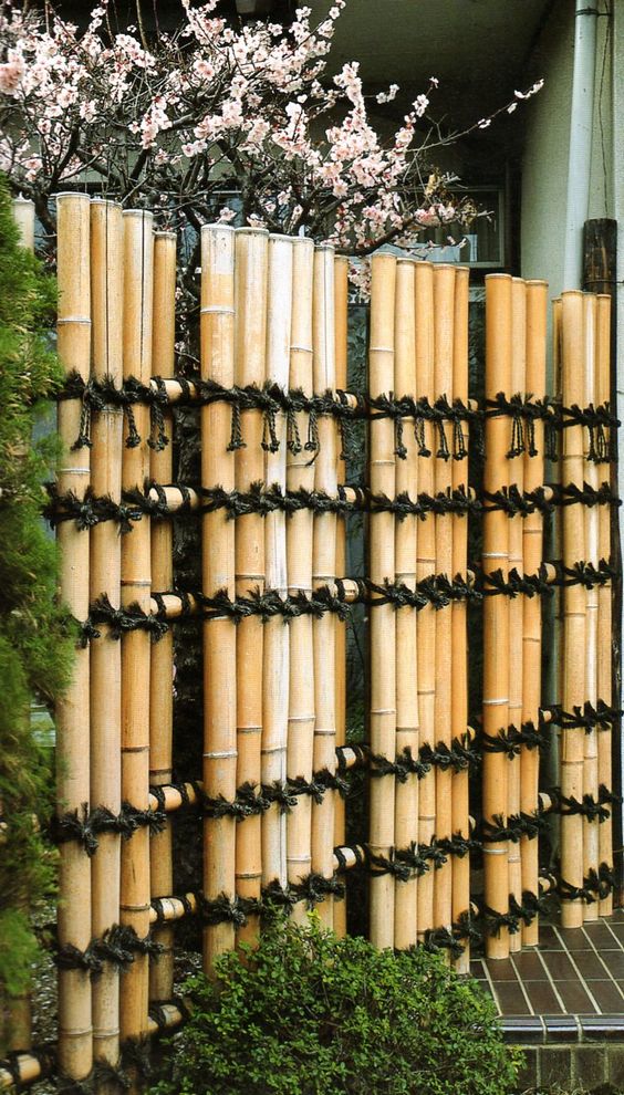 Bamboo fence Japanese garden aesthetic