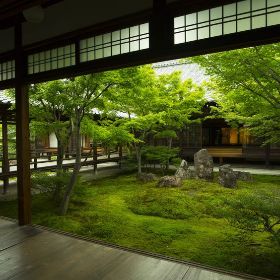 the moss in Japanese garden style