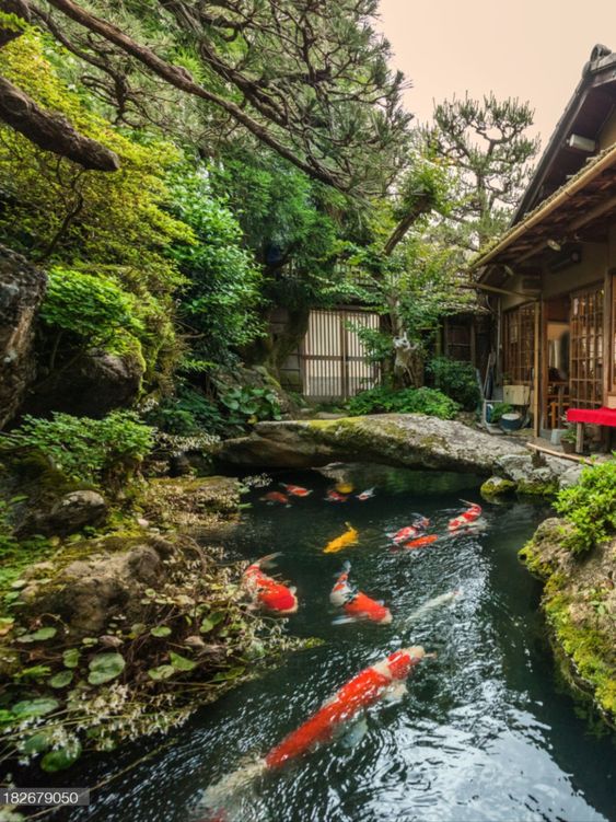 Koi pond Japanese garden idea