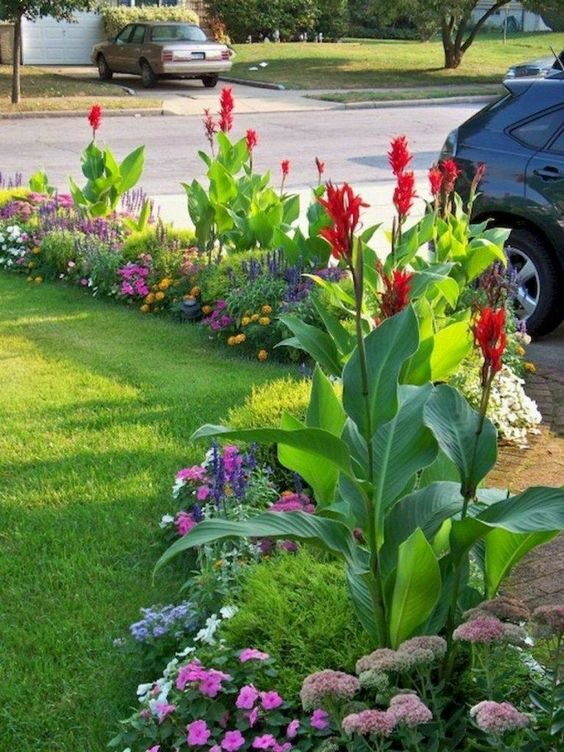 wild flower landscaping on a budget