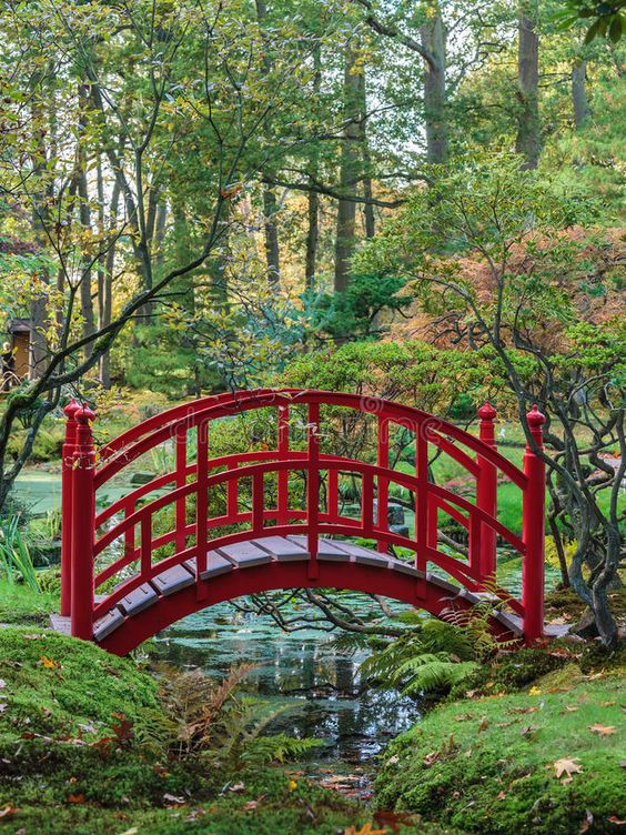the bridge in Japanese garden