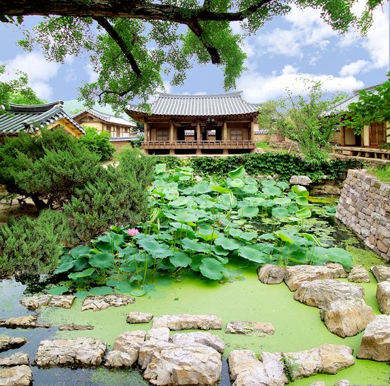 large lotus pond in traditional Korean garden