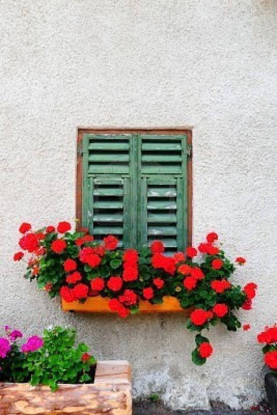 window box decor to improve the curb appeal