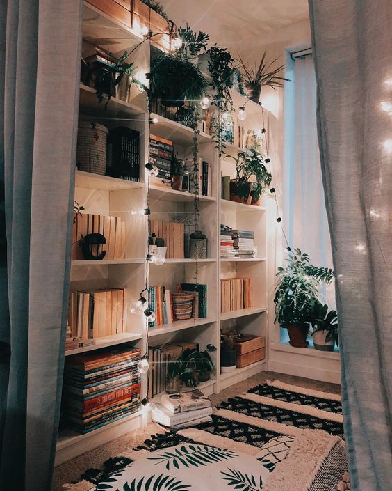 beautiful bookcase