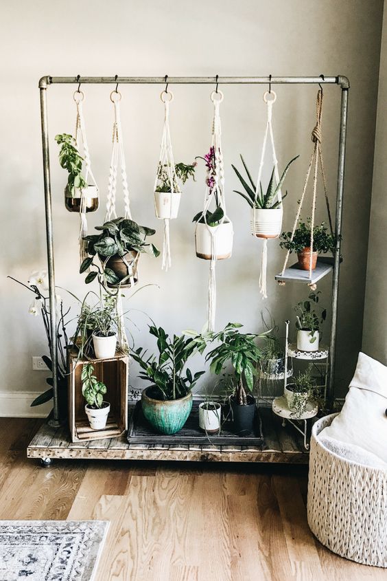 indoor garden