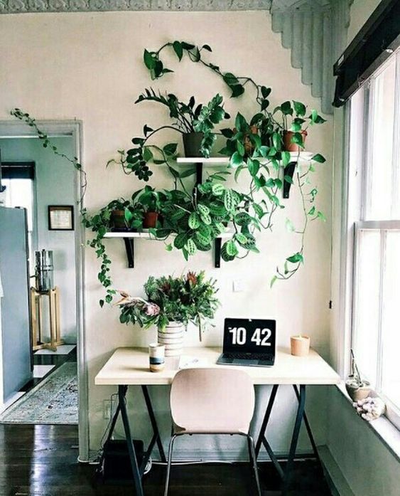 indoor garden ideas