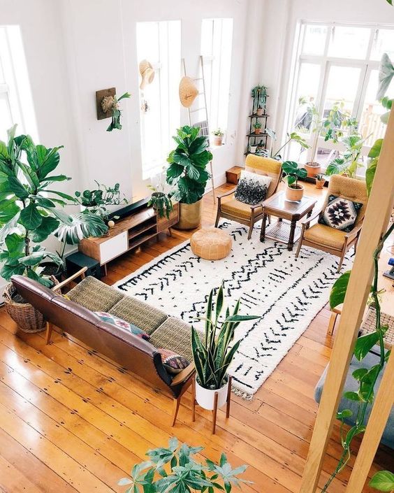 indoor garden in living room