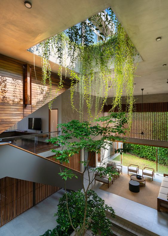 vertically indoor garden