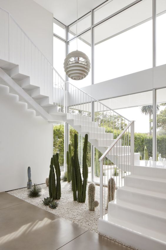 minimalist indoor garden