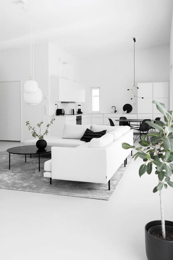 black and white open plan concept