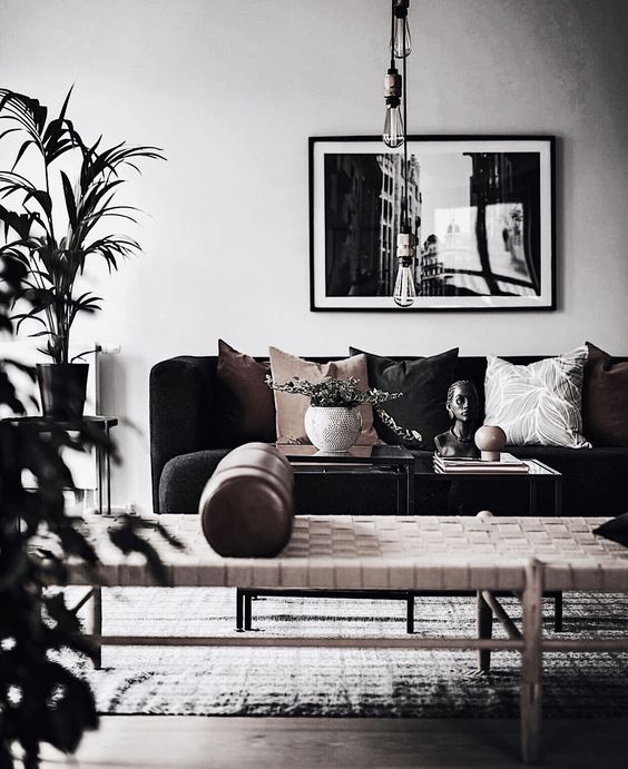 monochrome living room displays